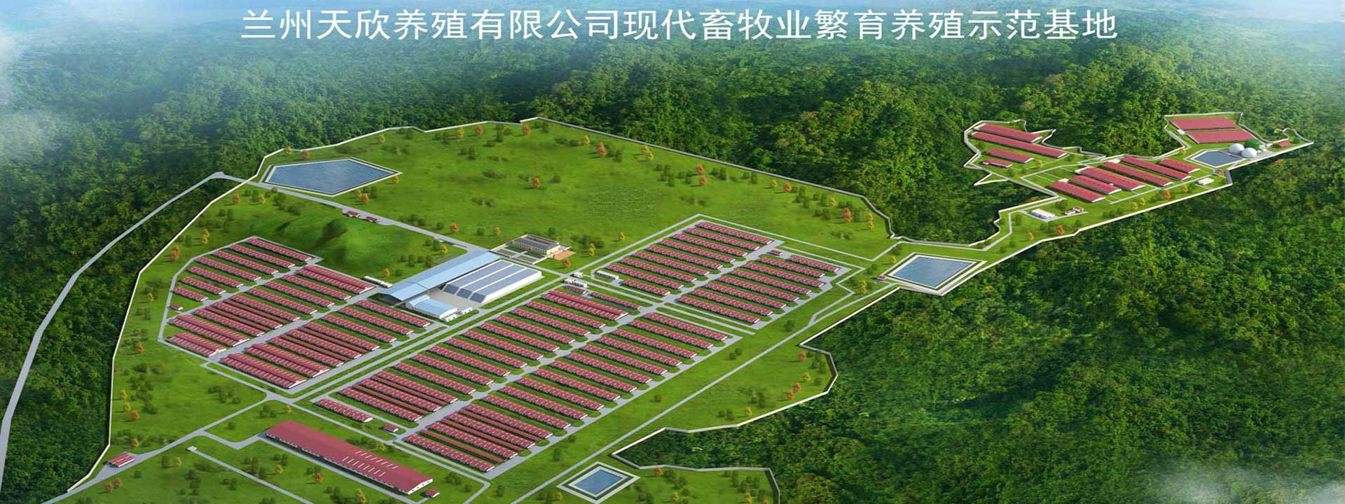 bob综合体育app下载