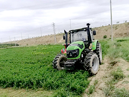 bob最新官网登录入口:12月25日生意社生猪基准价为1167元公斤